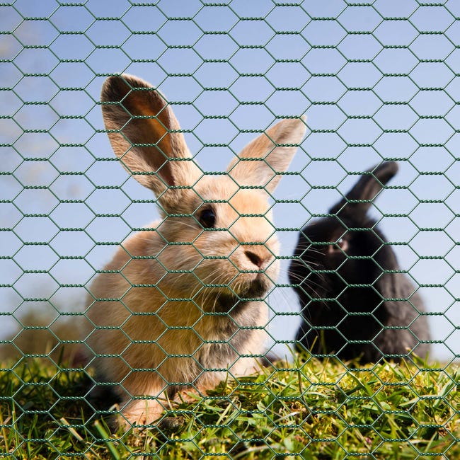 Rete Metallica Plastificato| 1X5 M| Composizione 80% Acciaio Zincato/20 - Foto 11