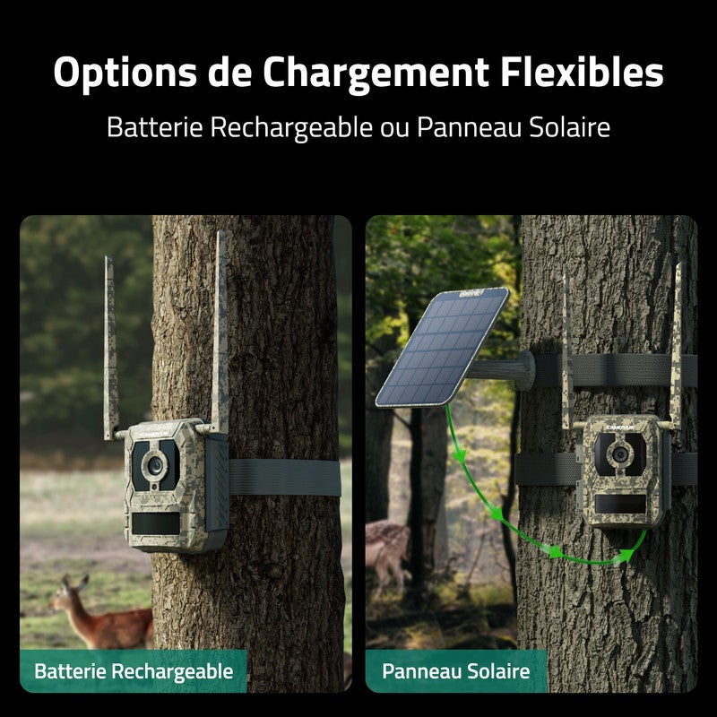 Camovue Caméra de surveillance 4K Batterie 4G Extérieur, Carte SIM, Vision Nocturne, Reconnaissance d'Espèces - 7