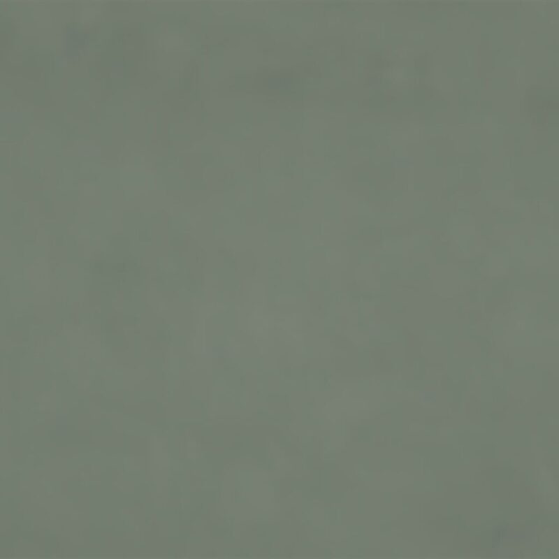 Gris / plata