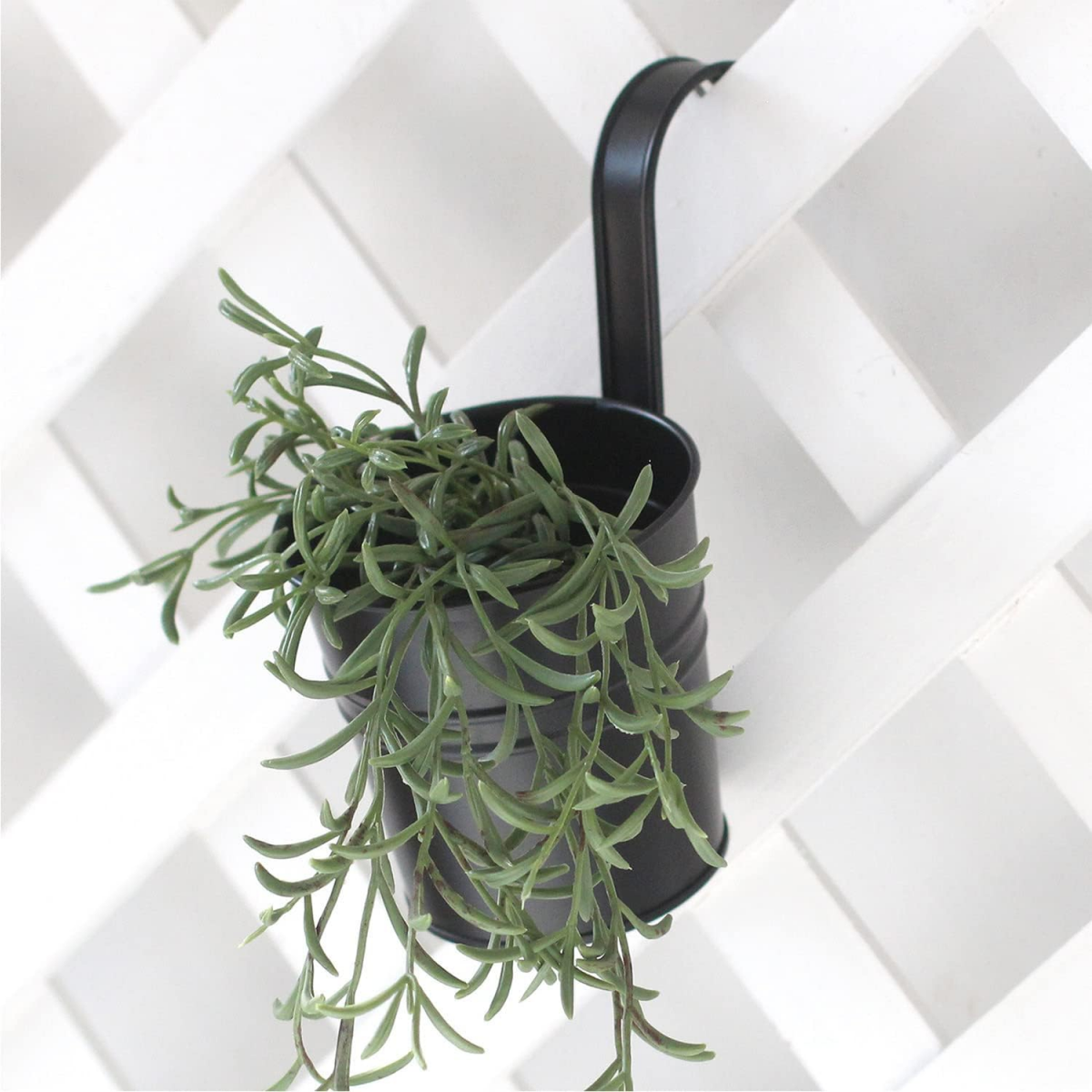 4 Pièces Pots de Fleurs à Suspendre, Trou de Drainage au Fond, Crochet Amovible, pour Décorer Les Jardins et Les Balcons - 5