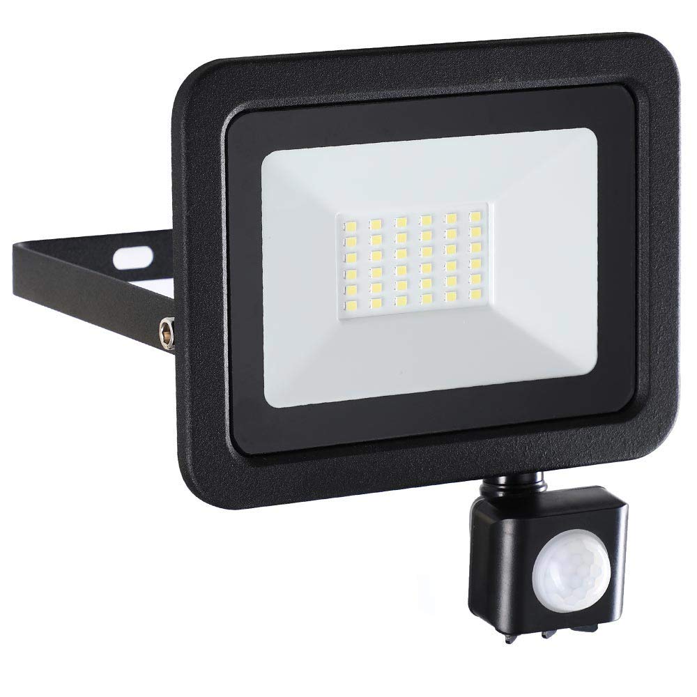 Faro proiettore Led 30W Bianco da esterno IP65 Bianco freddo 6500K Aigostar