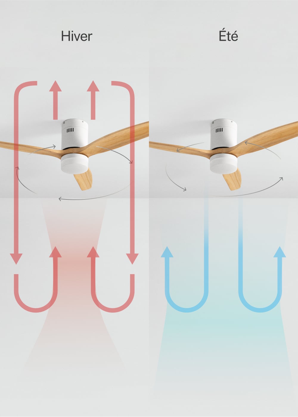 CREATE - WIND CALM NATURAL WOOD M - Ventilateur de plafond 40W silencieux 100% bois avec eclaraige sans wifi - 4