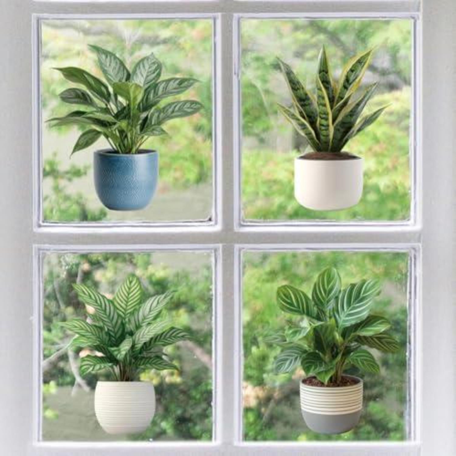 Sticker Fenêtre Plantes en Pot 120x30cm PVC Électrostatique Amovible ...