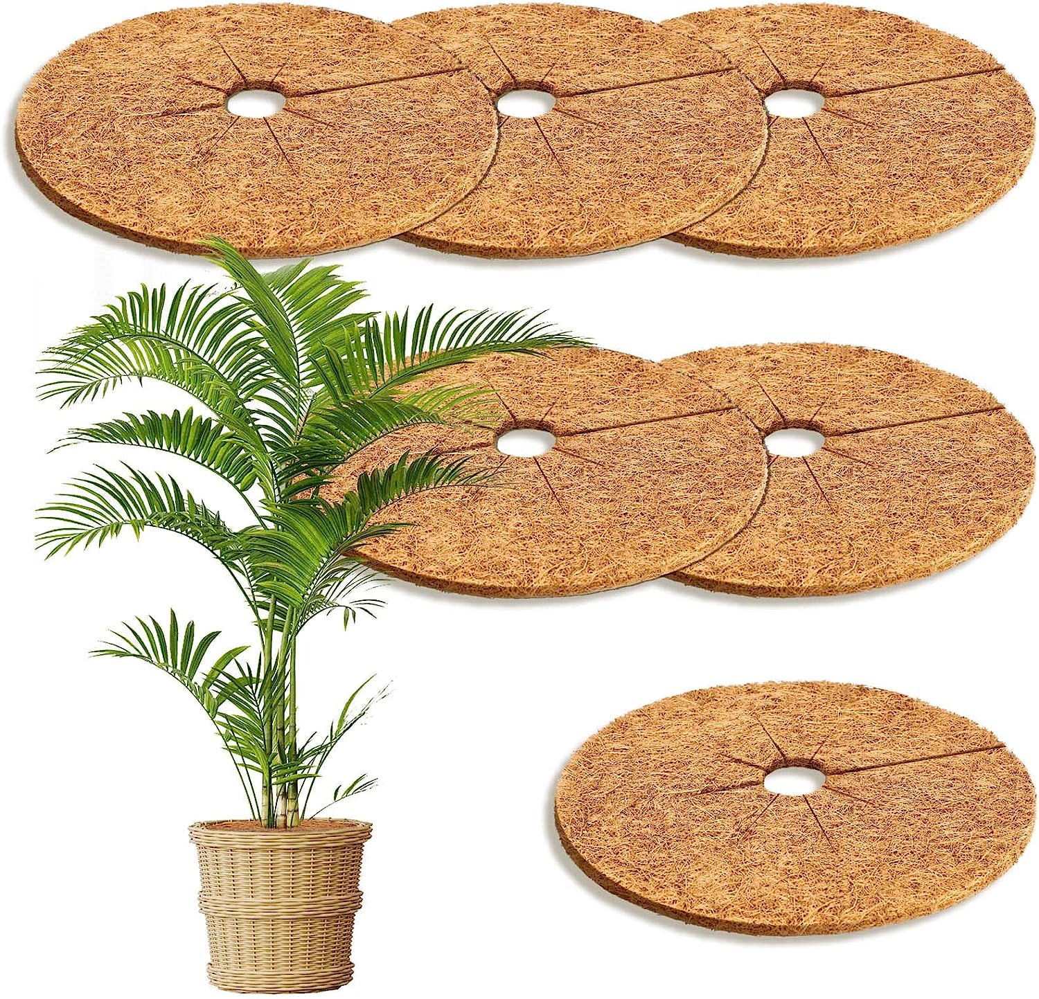 11,8-calowy kokosowy pierścień ściółkujący, 6-częściowa mata ochronna z włókna kokosowego do ochrony korzeni roślin doniczkowych