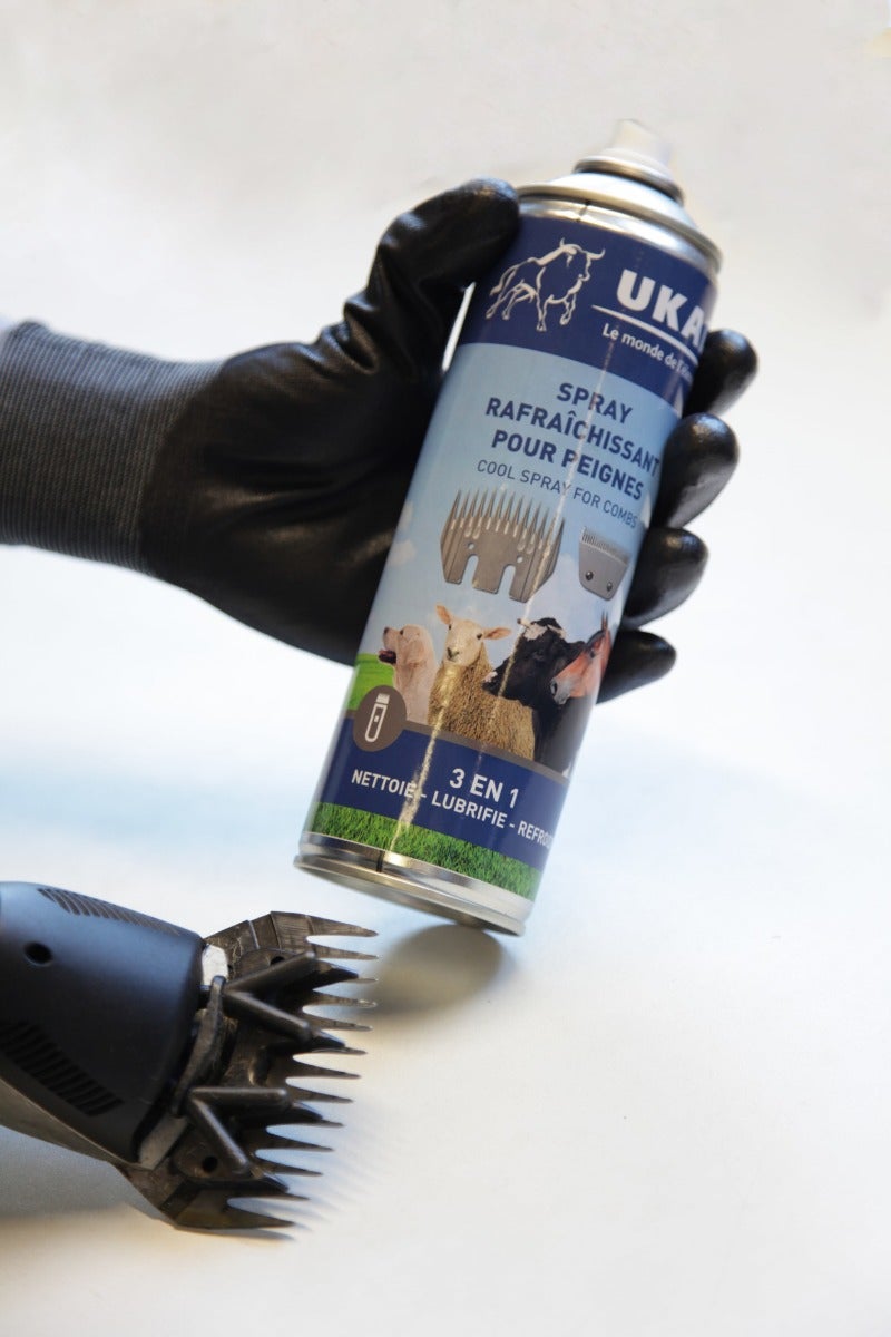 Spray Pour Gazon Vert | Peinture Naturelle Pour Gazon | Réparation De La Peinture De Gazon, Couleur De L' Verte Pour La Couleur Verte | Détachant De