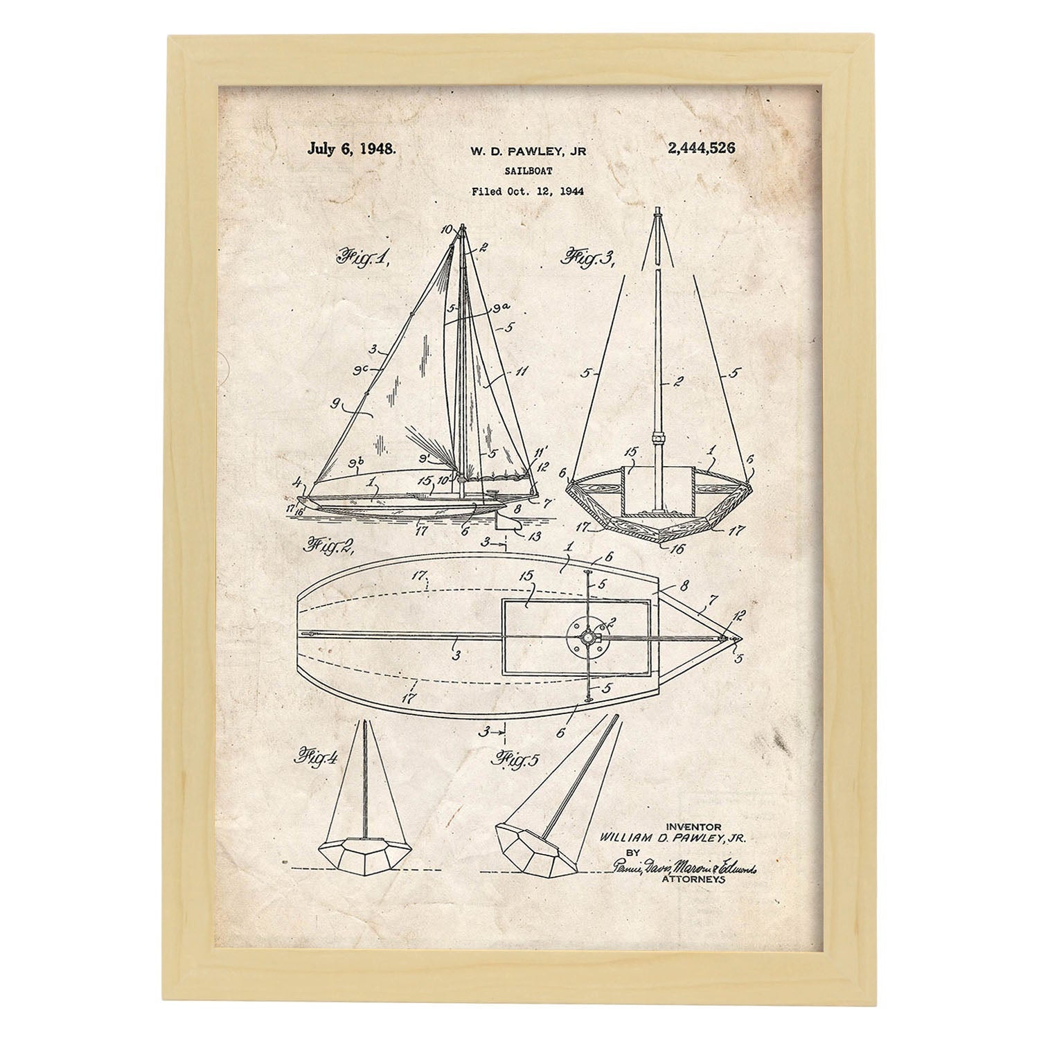 Pôster De Octopus De Rey. Folhas De Animais Com Definições. Ilustrações De Animais Com Textos. Quadro Preto - A4 - 2