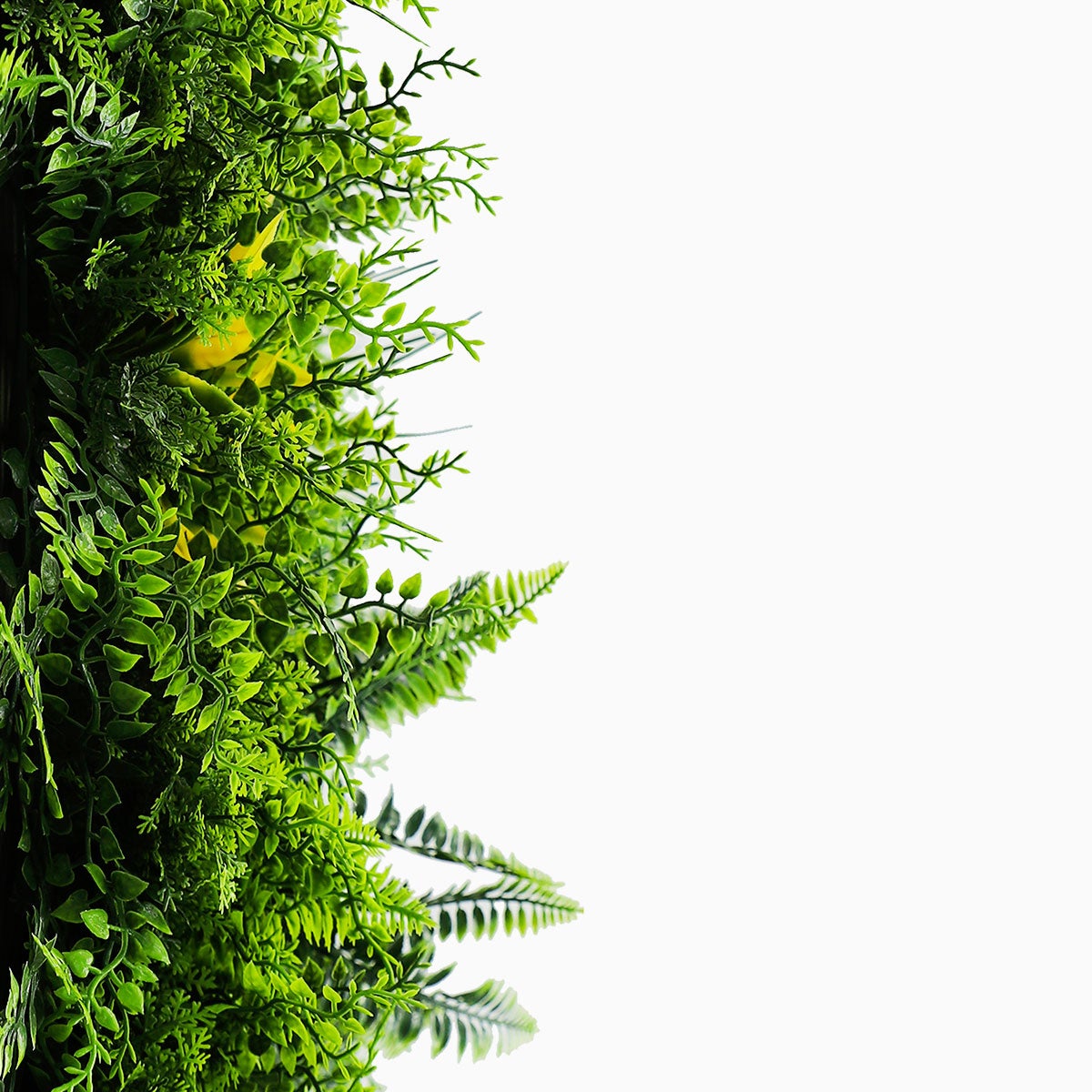 LOT de 5M² Mur Vegetal Artificiel Fougère Dense MGS décoration murale - 12