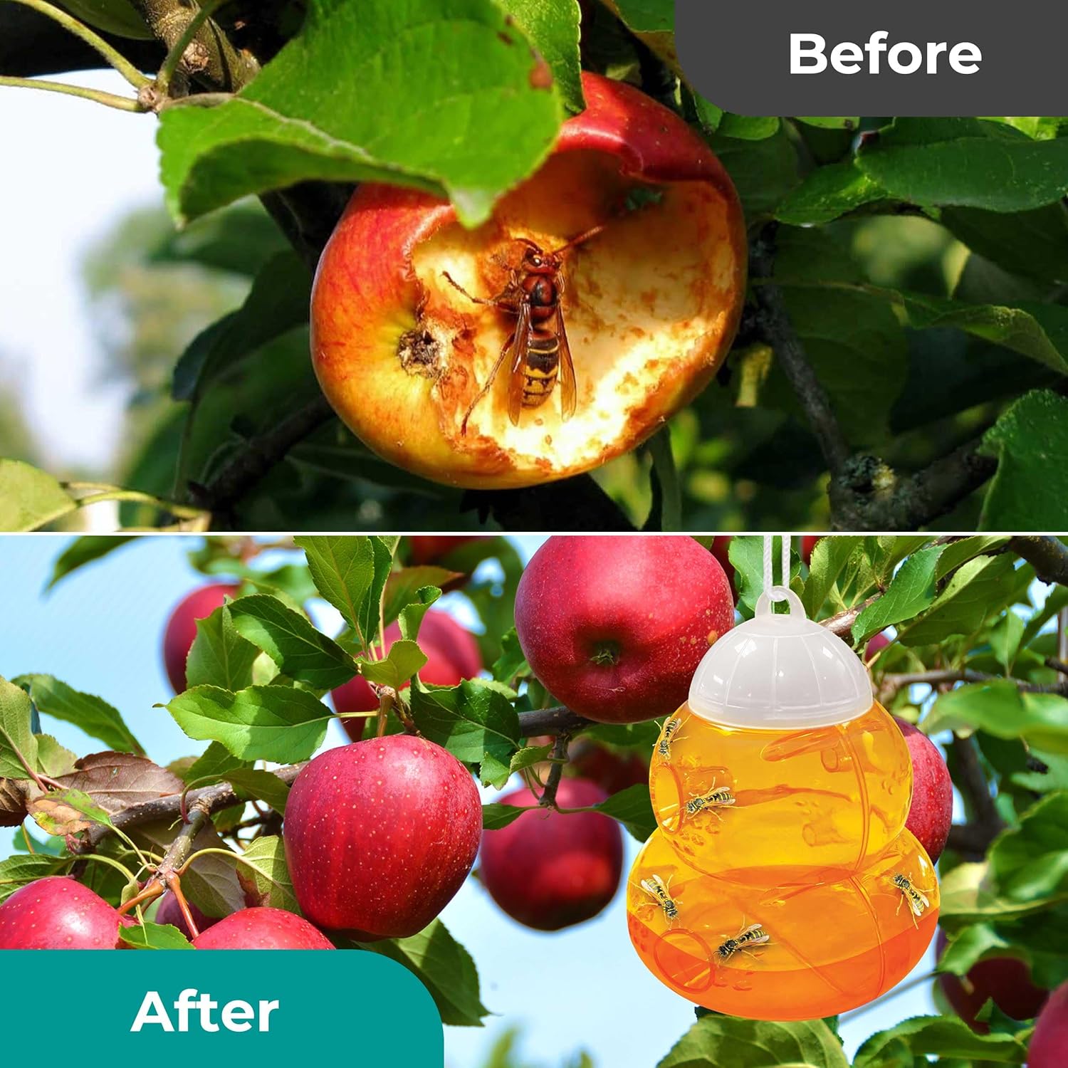 Piège à guêpes et frelons suspendu - Répulsif naturel contre les guêpes pour l'intérieur et l'extérieur (orange). - 6
