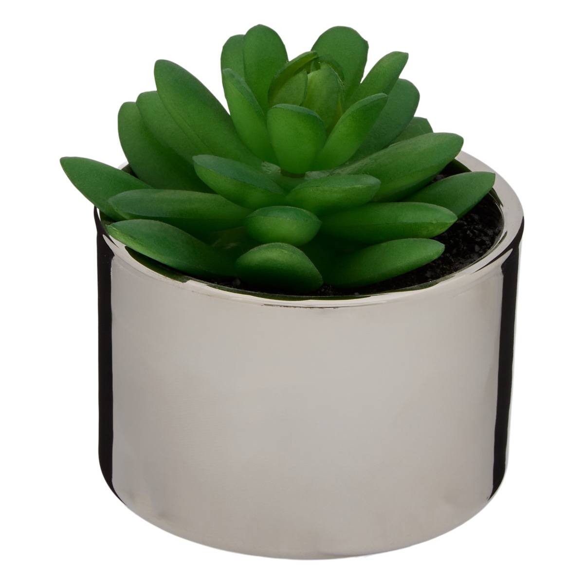Plante Verte Pot Céramique H.15 Multicolore - Atmosphera Créateur d'intérieur - 5