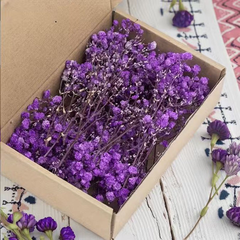 50 tiges de gypsophile séchée – bouquet blanc naturel pour mariages, vases, déco maison. - 6