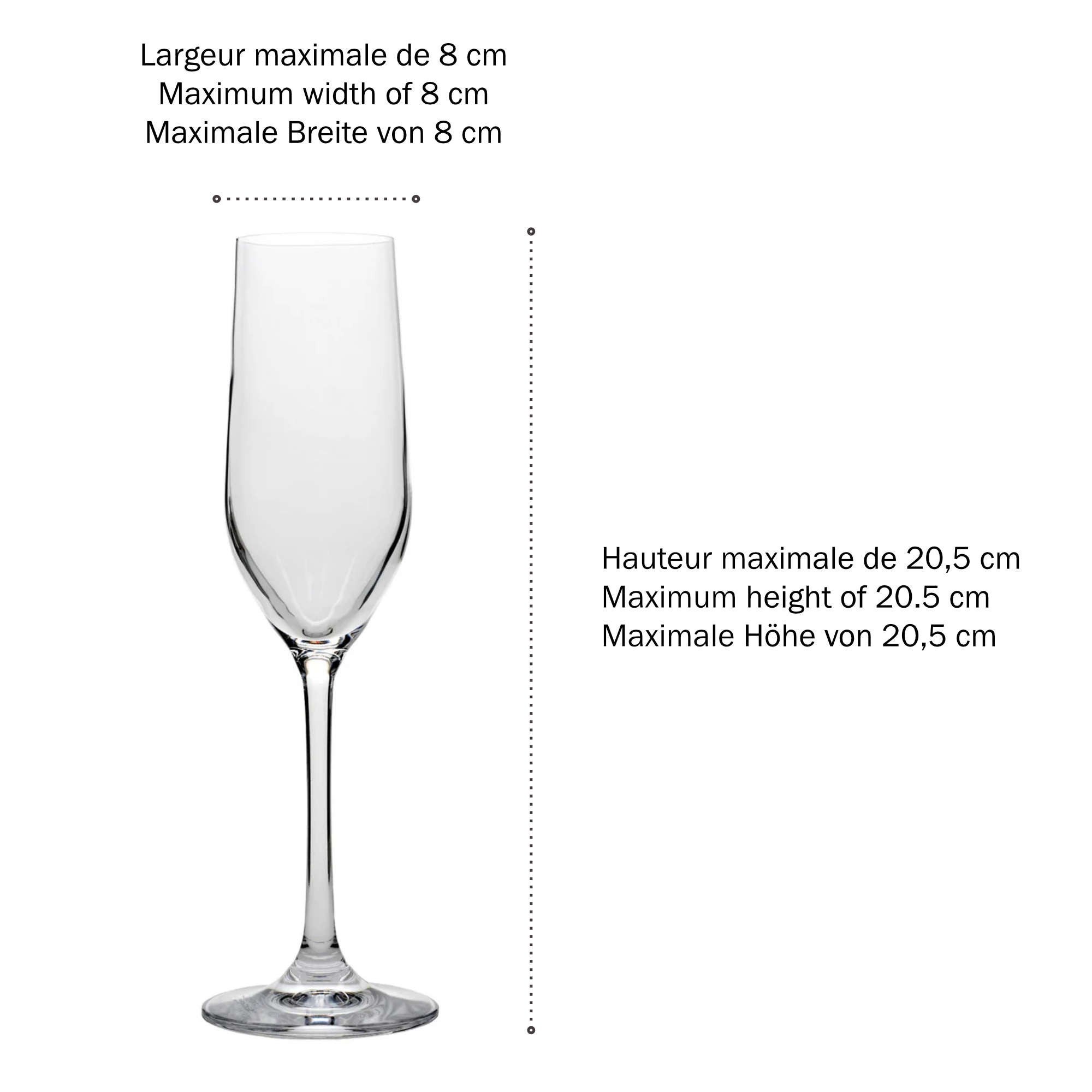 Lot de 3 boîtes de rangement en plastique pour flûtes à champagne, renforcées et transparentes avec couvercle CHAMP STORE - 4