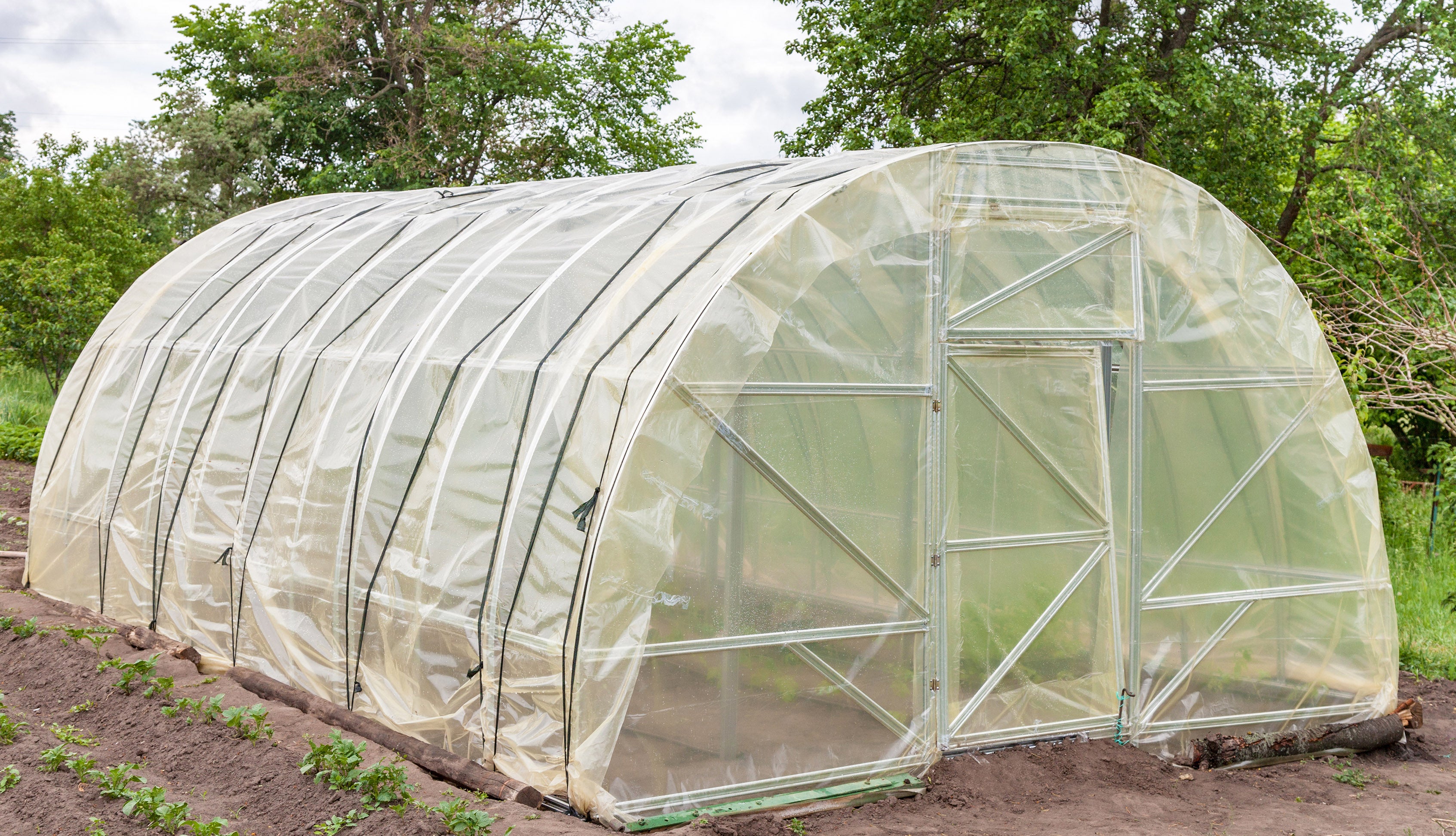 Película de jardín de 3m, película de invernadero, película de marco frío UV 5, película de invernadero de 4m de ancho - 7