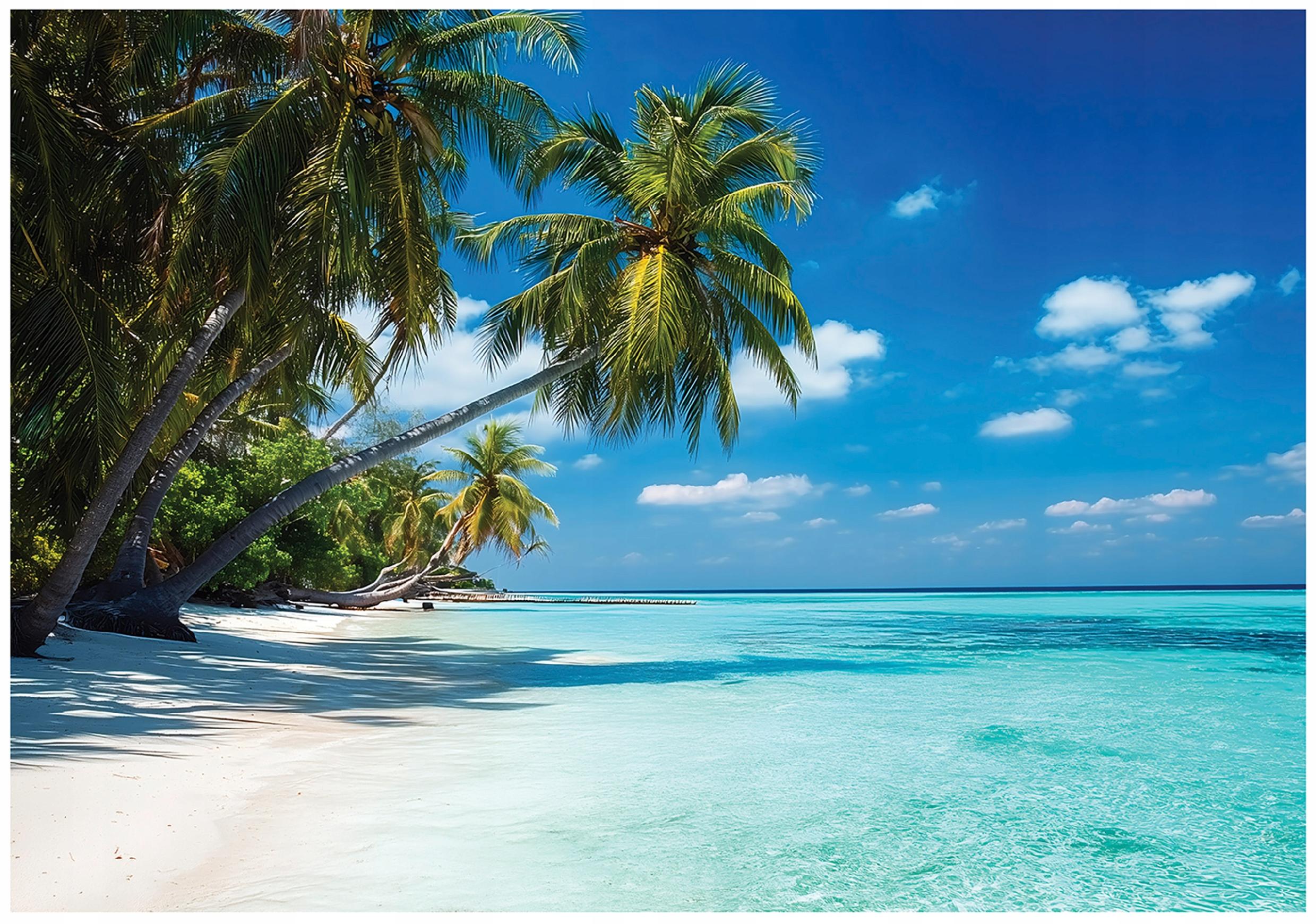 Fototapeta Plaża Palmy Krajobraz Tropikalny 250x175 cm Tapeta Do Sypialni Salonu Kuchni Na Flizelinie