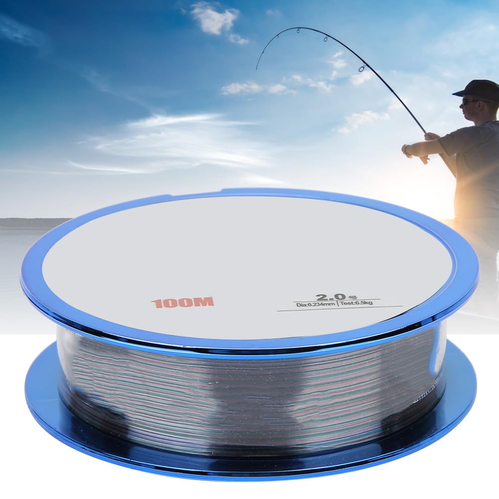Fil de pêche en nylon haute résistance, accessoire pour moulinet de leurre, longueur 100 m - 5