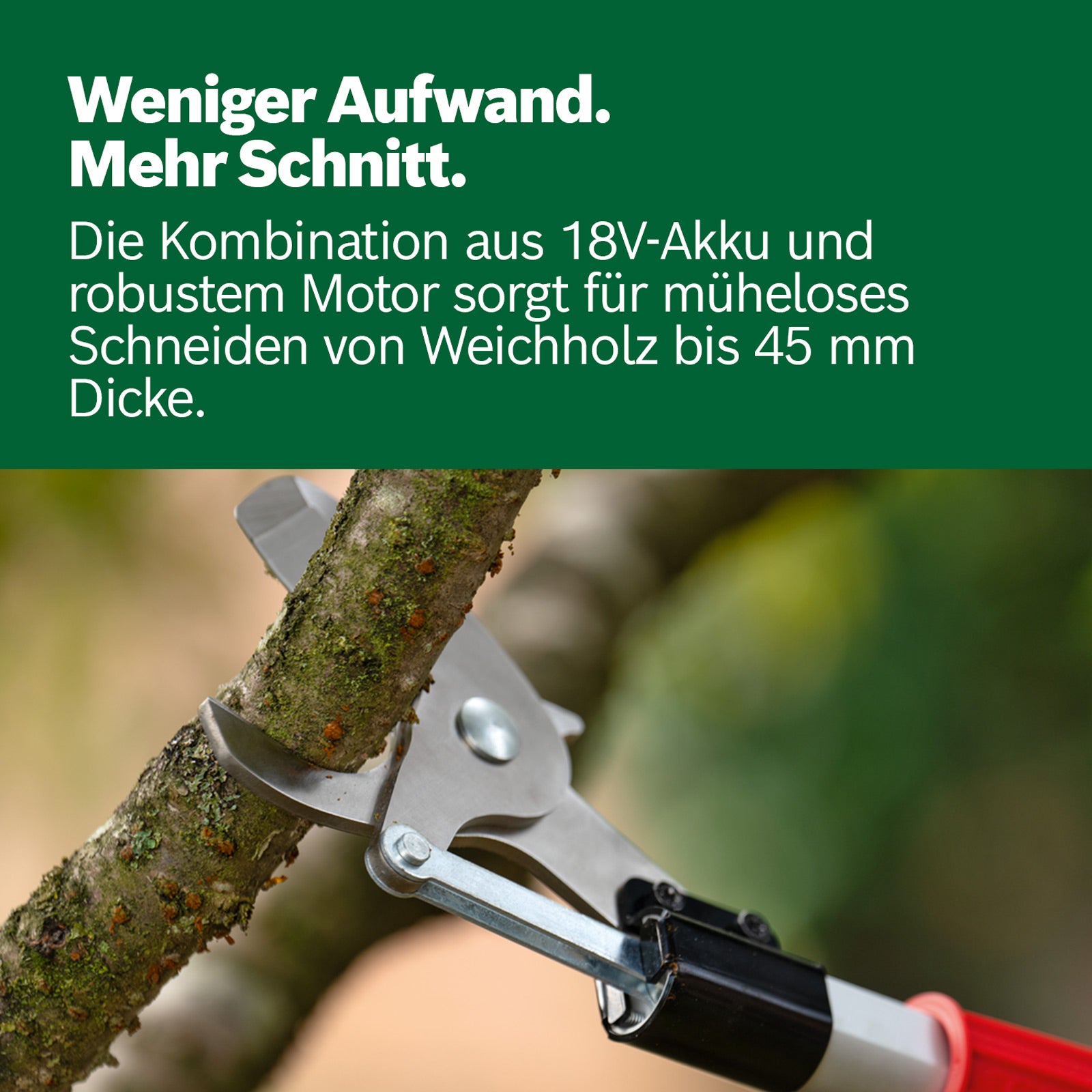 Leisehäbäckler Ax 25 tc - 8