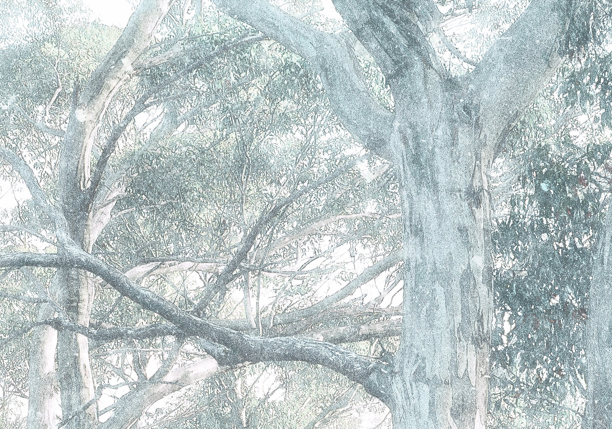 Fotomurale in tessuto non tessuto di Komar - Magic Trees - Dimensione: 300 x 280 cm - 5
