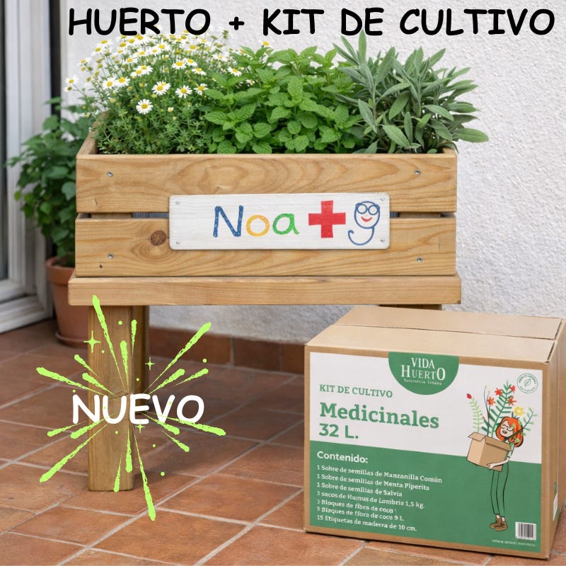 Table De Culture Enfant En Bois Avec Kit De Culture De Plantes Table De Culture Enfant En Bois Avec Kit De Culture De Plantes