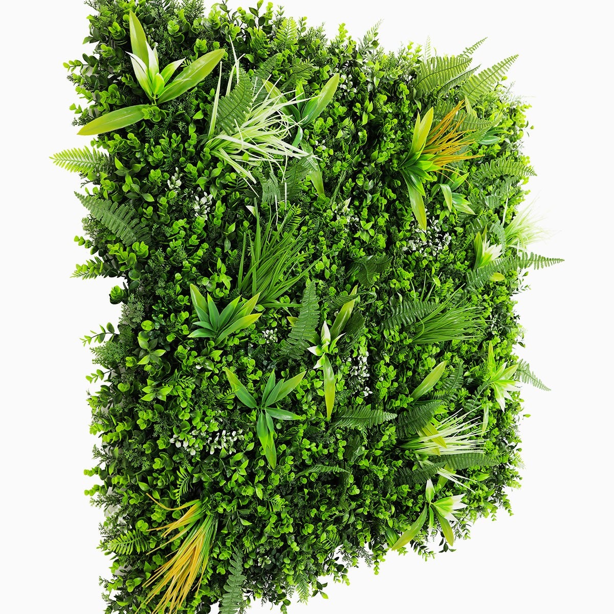 Mur Vegetal Savane decoration murale interieure plaque de 1m x 1m - 4