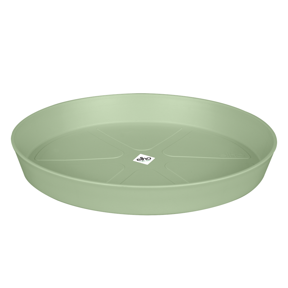 Vert