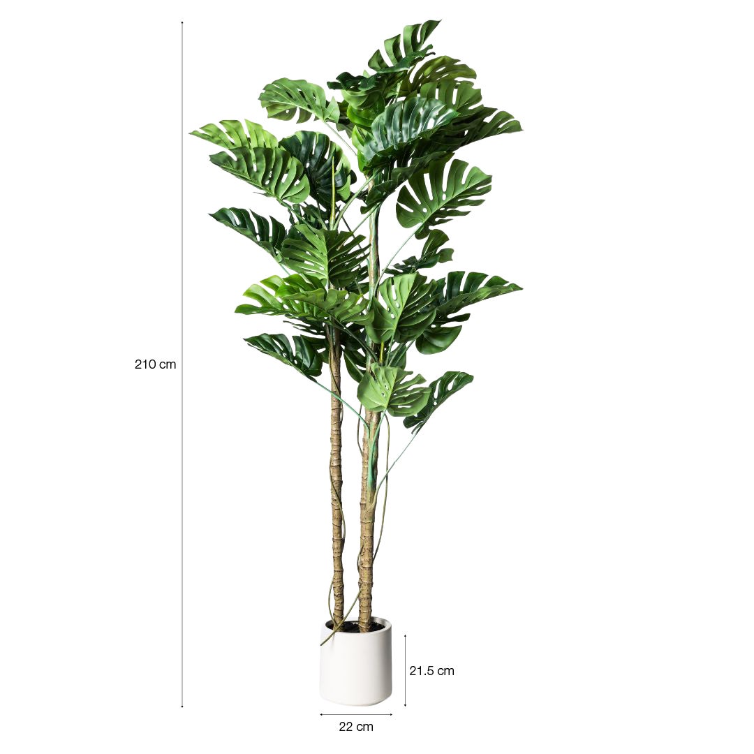 Planta artificial decorativa Monstera de 210 cm en maceta color verde - 5