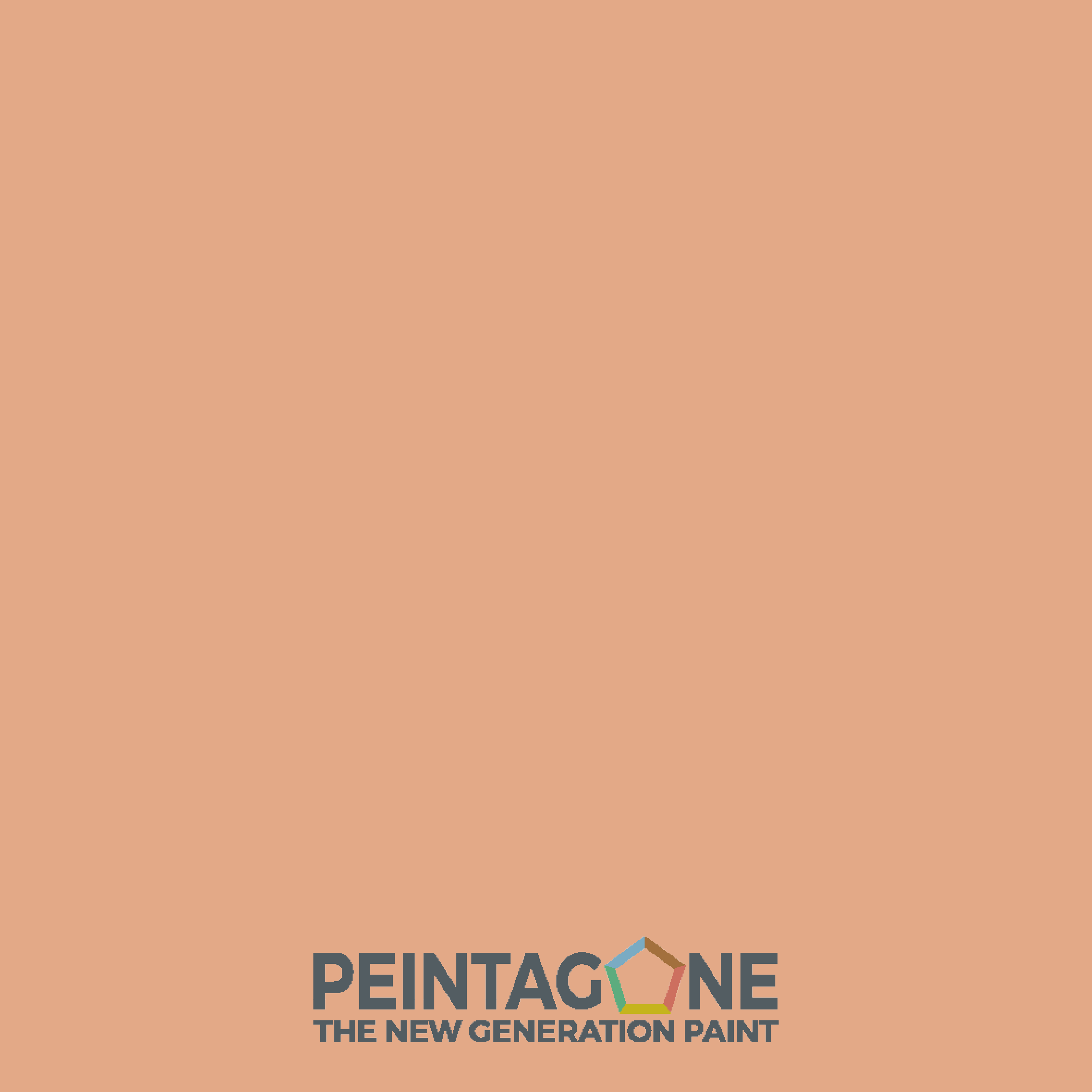 Peinture de finition très lessivable pour murs intérieurs - Finish Aqua Semi-Matt, 1 l, Holiday (PE104) - PEINTAGONE - 2