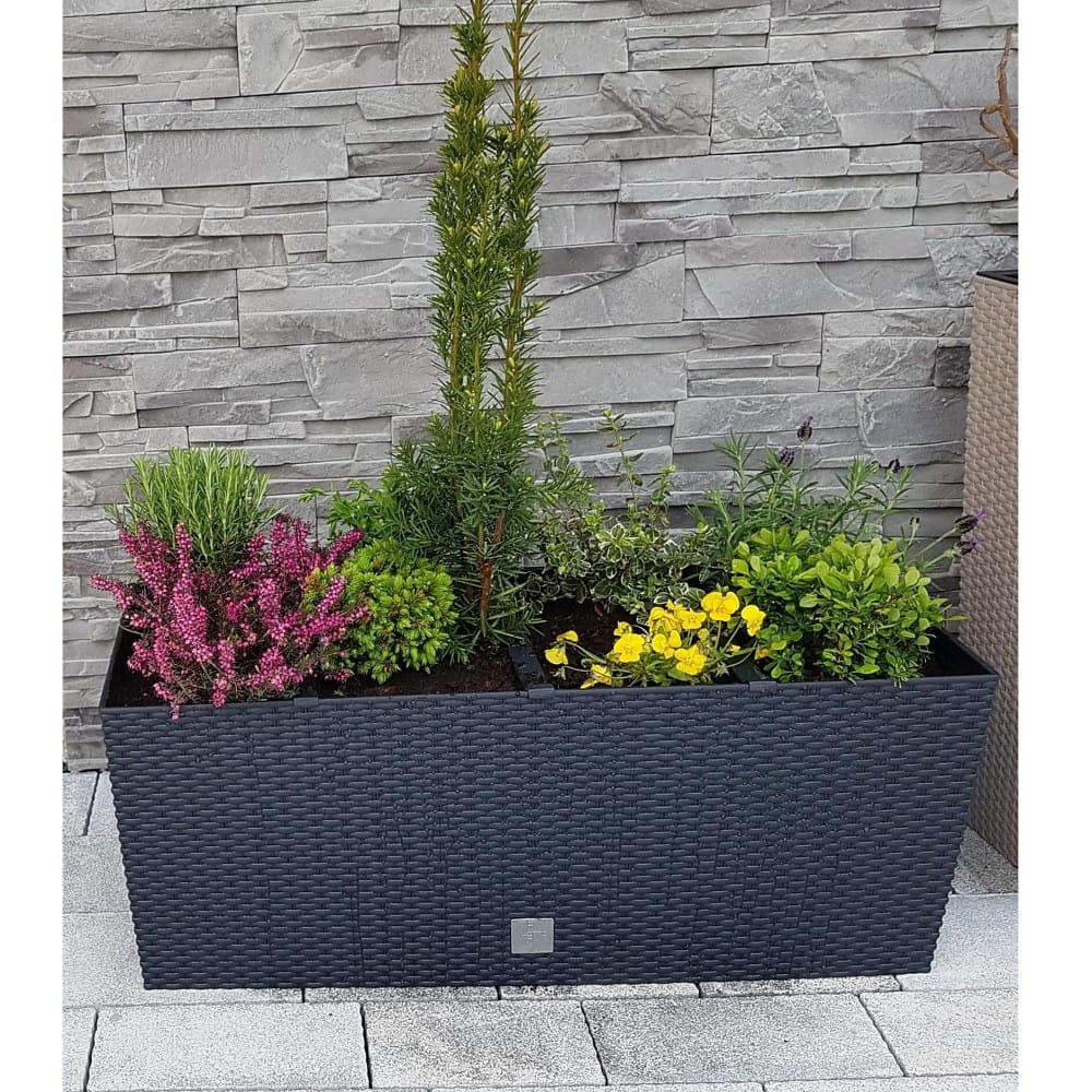Jardinière rectangulaire de 17 litres avec arrosage automatique, couleur anthracite, dimensions 52 x 20 x 19 cm - 5