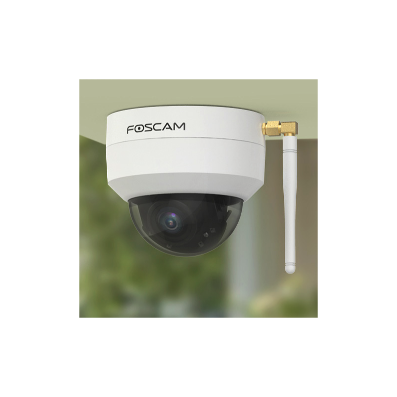 Caméra de surveillance Foscam Caméra de Surveillance D4Z PTZ Extérieur