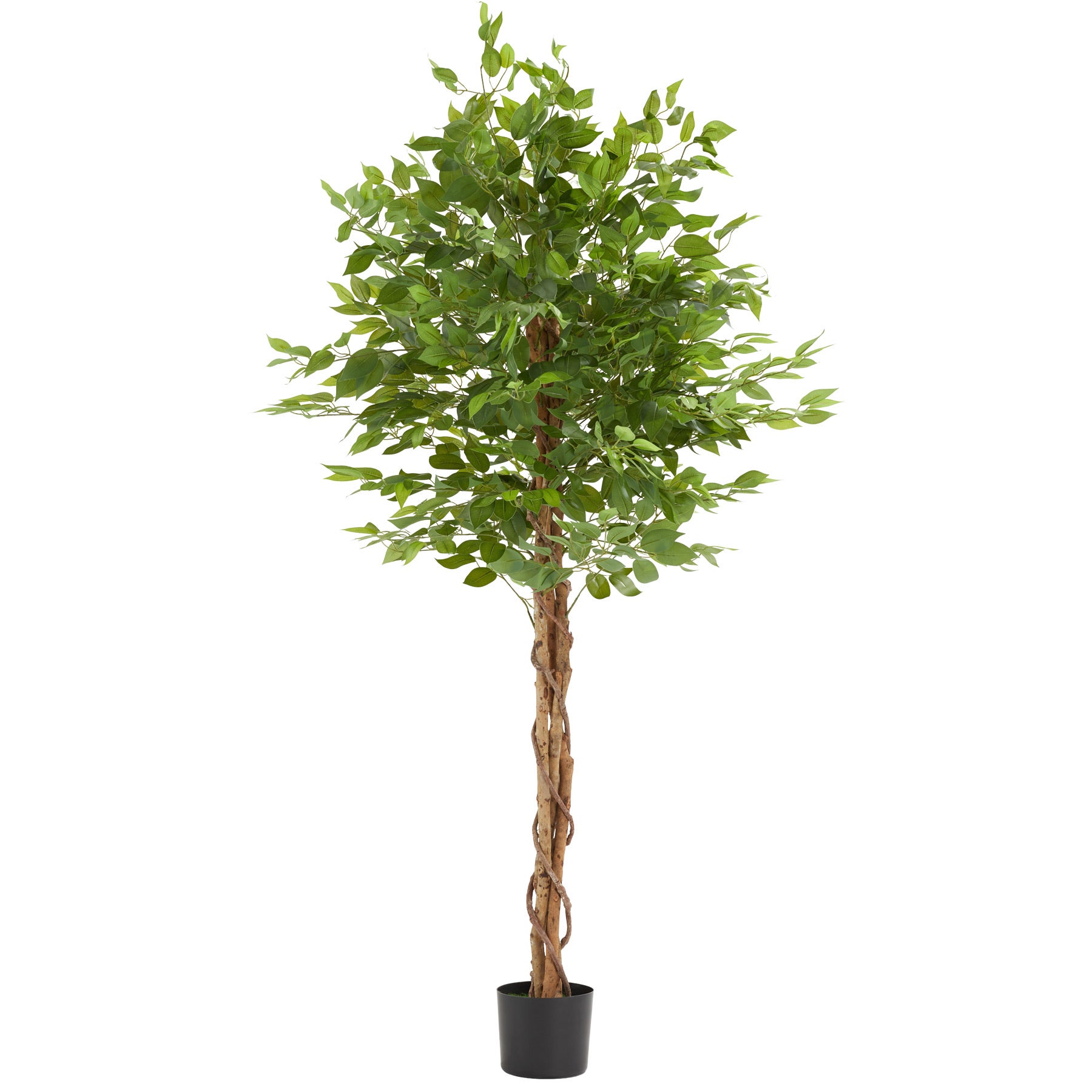 Green artificial Aralia 175 cm - LA FLORIE