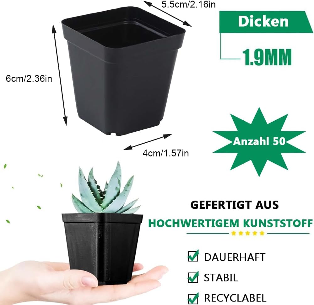 Lot de 50 pots de fleurs carrés en plastique noir de 5,5 cm pour plantes succulentes, semis, boutures, repiquage - 2