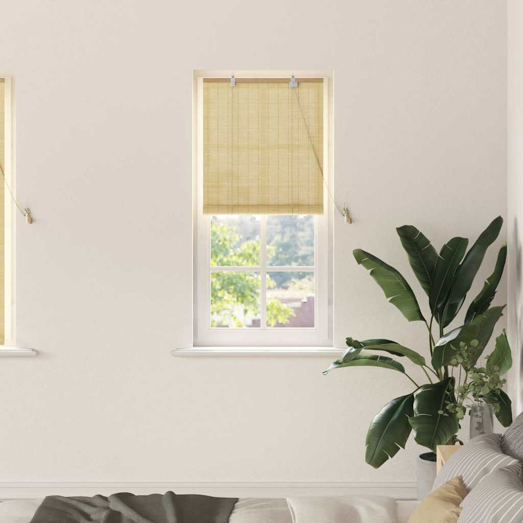 Bamboo Roleta natura 60 x 160 cm Bambus vidaXL
