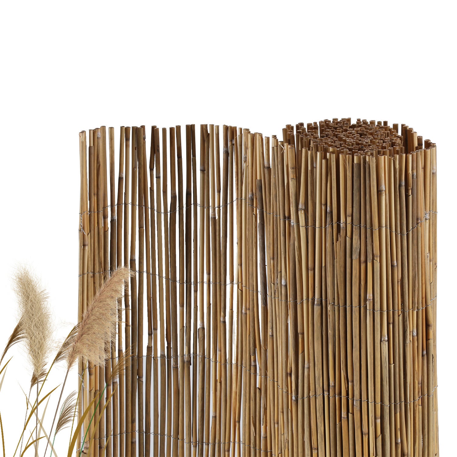 Mata trzcinowa 120 × 600 cm, naturalna osłona na ogrodzenie i balkon