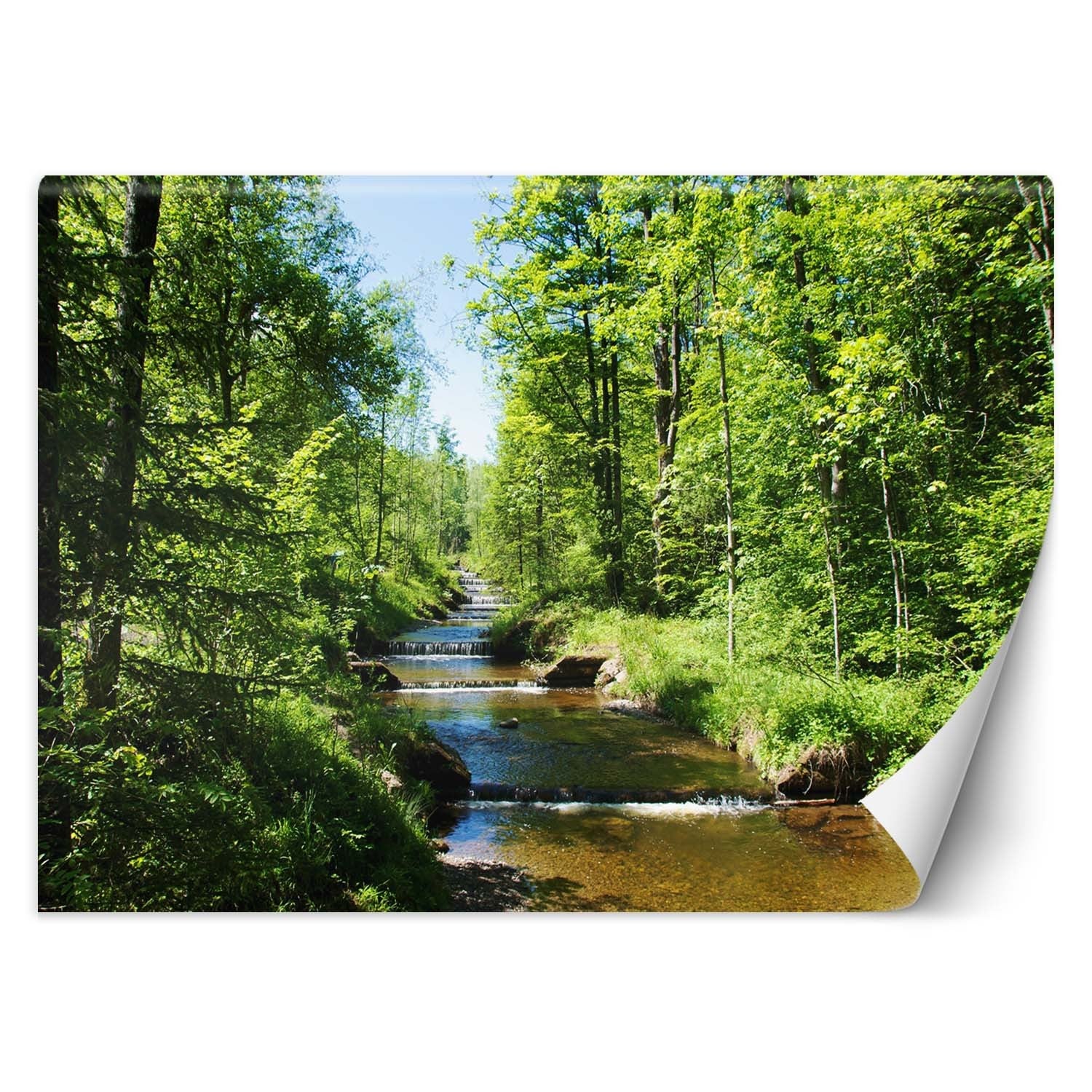 Fototapeta, Górski potok las natura 200x140