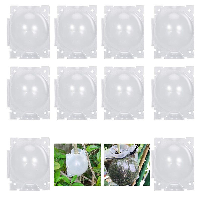 Szczepak do gałęzi ogrodowych, zaciskany kulkami, 10 sztuk (duży rozmiar/kolor przezroczysty)