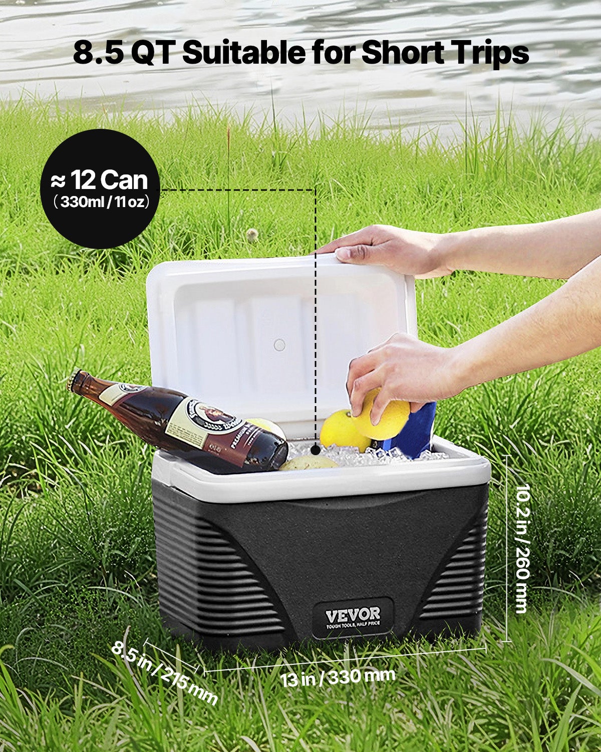 Glacière Portable 8L pour Excursions en Plein Air et Pique-Niques