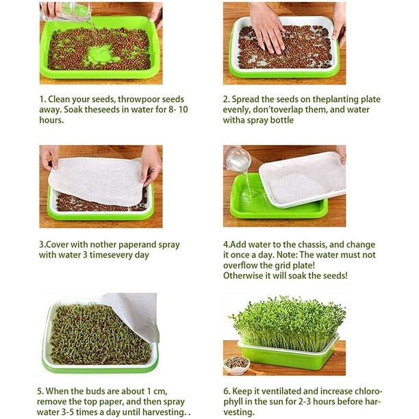 Lot de 5 plateaux de germination de graines avec trous de drainage - Plateaux de propagation de germination de graines sans BPA, kit de culture - 4