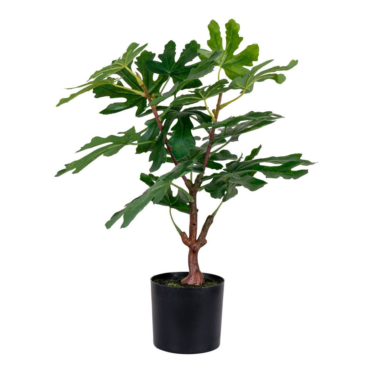 Sztuczna Roślina Ficus, Polietylen, Zielony, Seven Design
