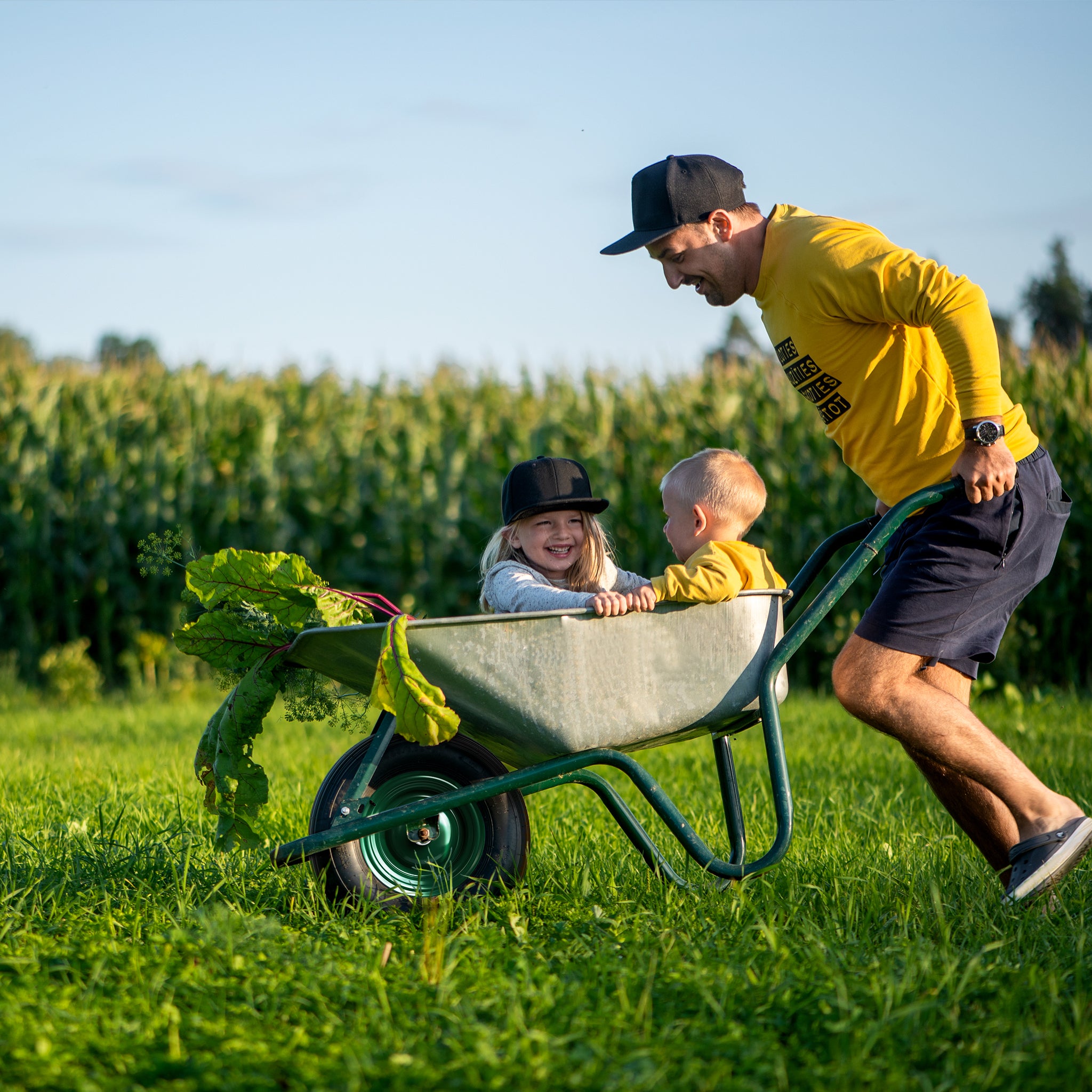 Wiltec Pneu de brouette 3.50-8 – Roue et Pneumatique – Jusqu’à 120 kg – avec Jante et Chambre à air – Bandage pour Diable, Chariot, Charrette - 8