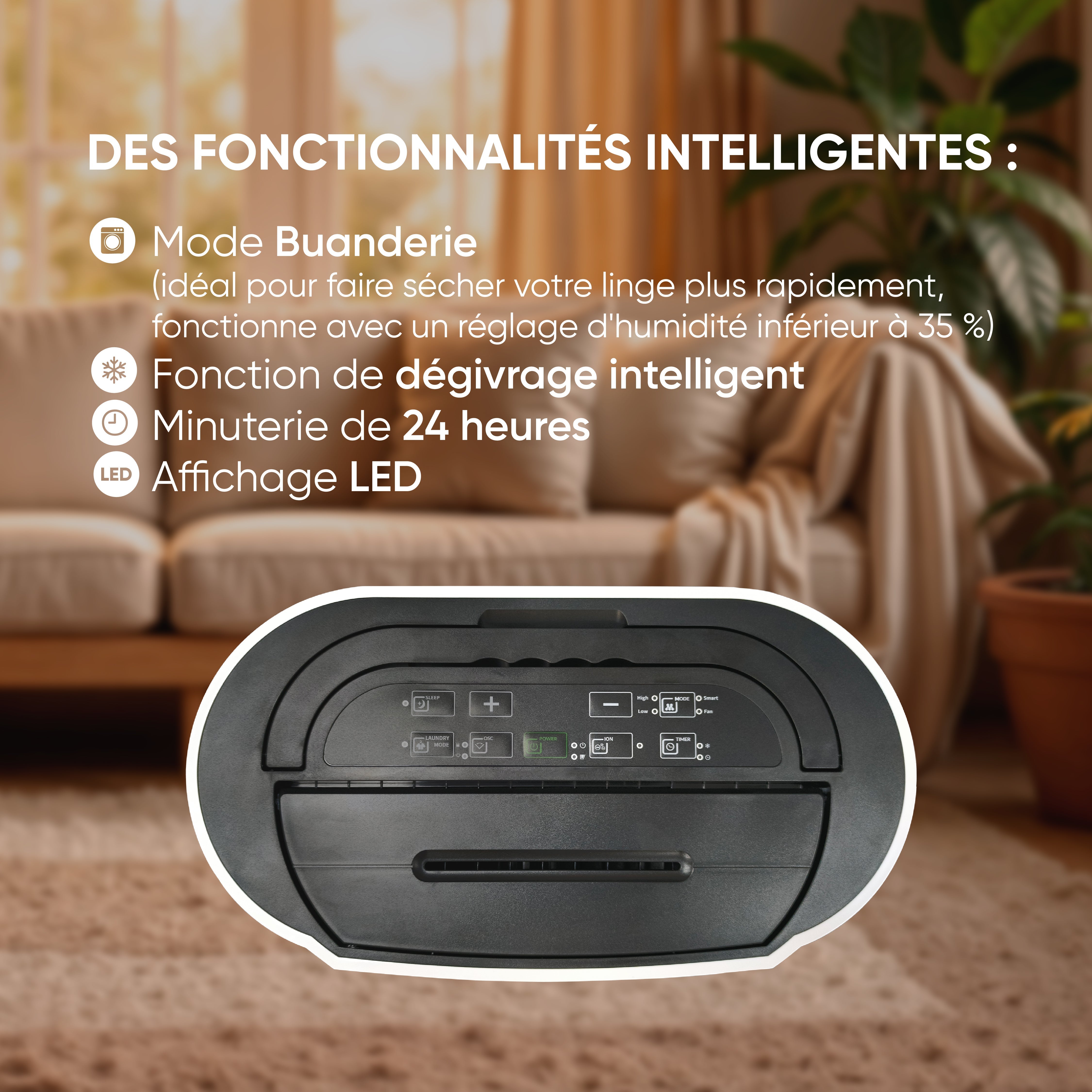 Déshumidificateur d'air BESTHERM - Athea 20L/jour, fonction purificateur d'air, filtre à charbon actif anti-odeurs, avec minuterie 24h - 6