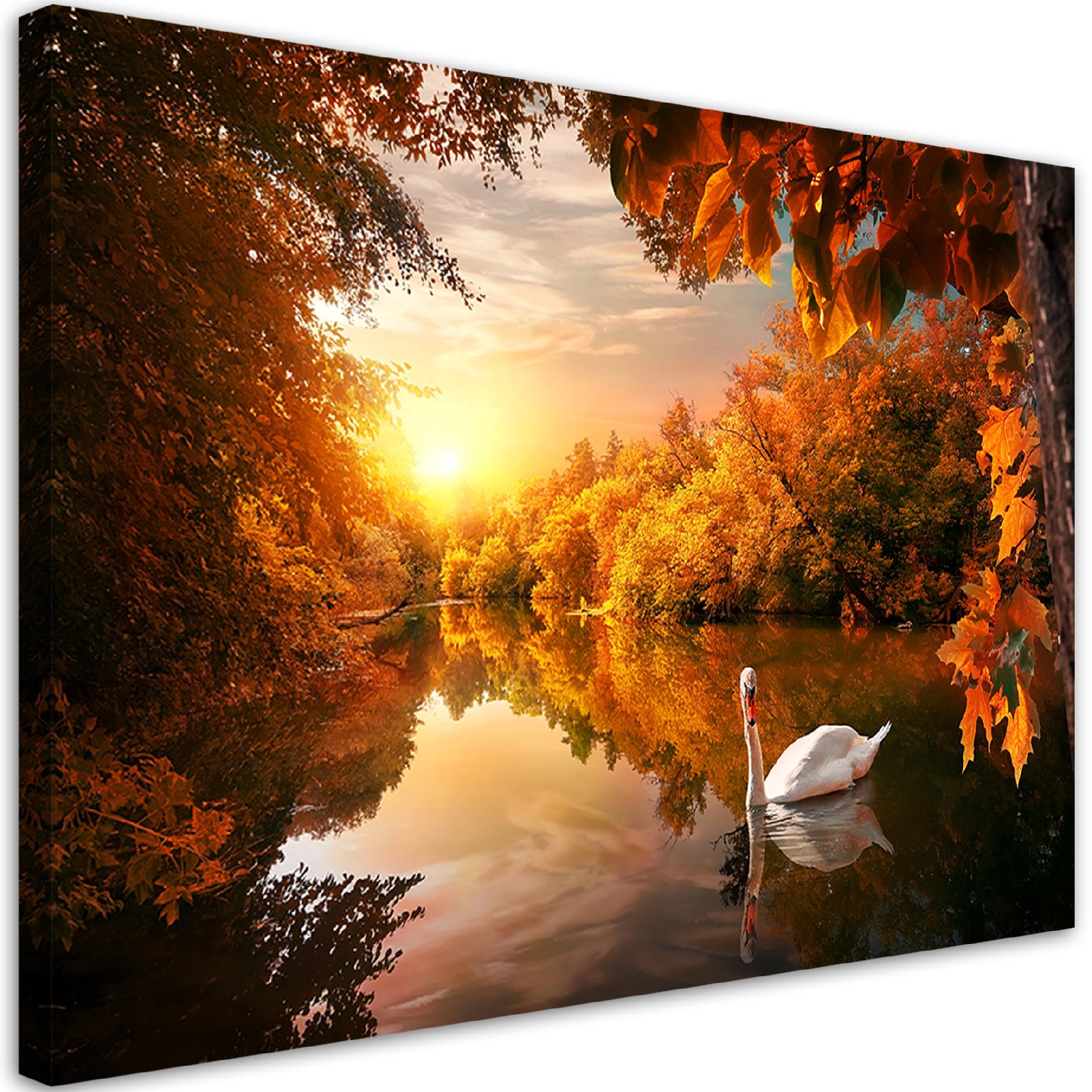 Obraz na płótnie, Łabędź na stawie jesień 60x40