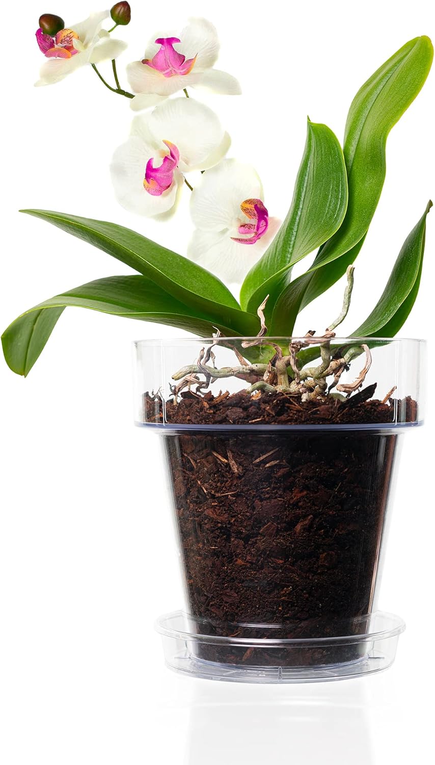Kit rinvaso orchidee: vaso trasparente con fori di drenaggio - Ø 11,5 cm - 1 - 2