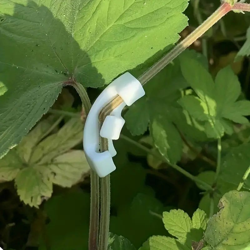 Pinces de pliage de plantes à 90 °, 10 pièces, outil de pliage de plantes, Support de vigne de légumes, Clips de Support de jardin - 5