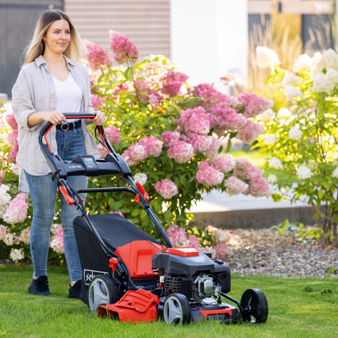 Scheppach Tondeuse à gazon hybride MS225-53E - Largeur de coupe 53 cm - Démarrage électrique - Batterie, chargeur, huile inclus - 2