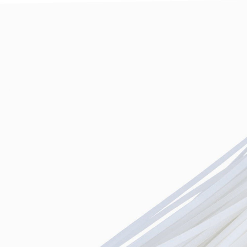Collier rapide blanc lot de 100 colliers 100 x 2,5 mm - 5