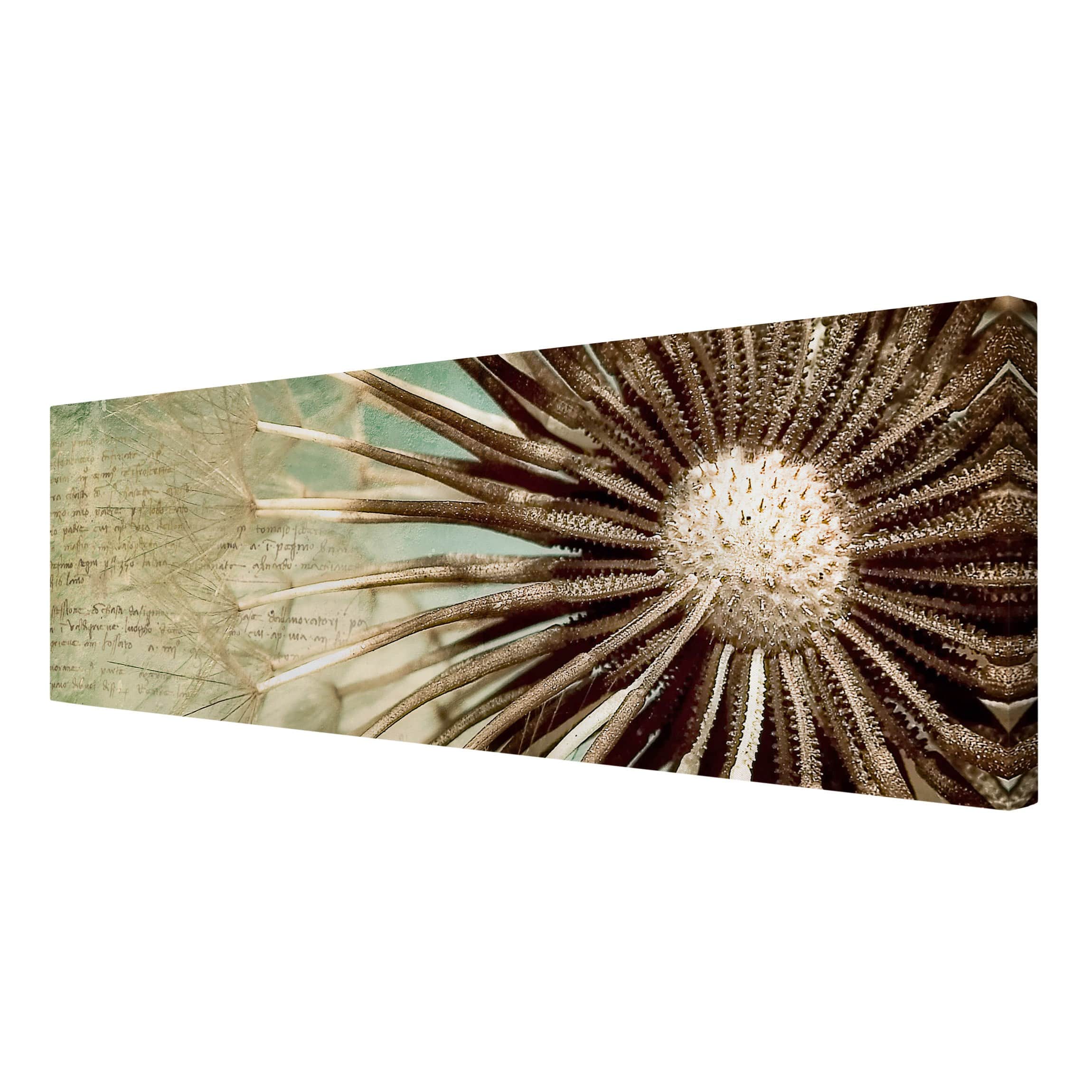 Impression sur toile tableau sur toile châssis beige botanique fleur pissenlit 31 cuisine chambre à coucher salon couloir 120 x 40 cm - 6