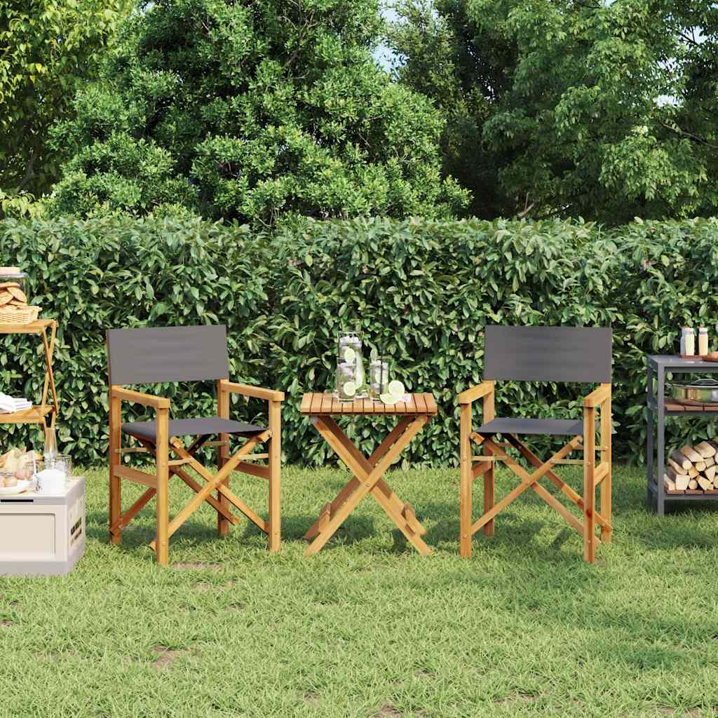 Chaises de metteur en scène pliantes lot de 2 Bois teck massif | Leroy ...