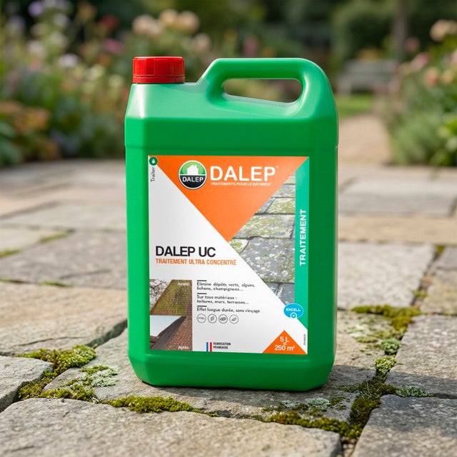 DALEP UC Batimouste Ultra Concentré DALEP Traitement anti-dépots verts 5L