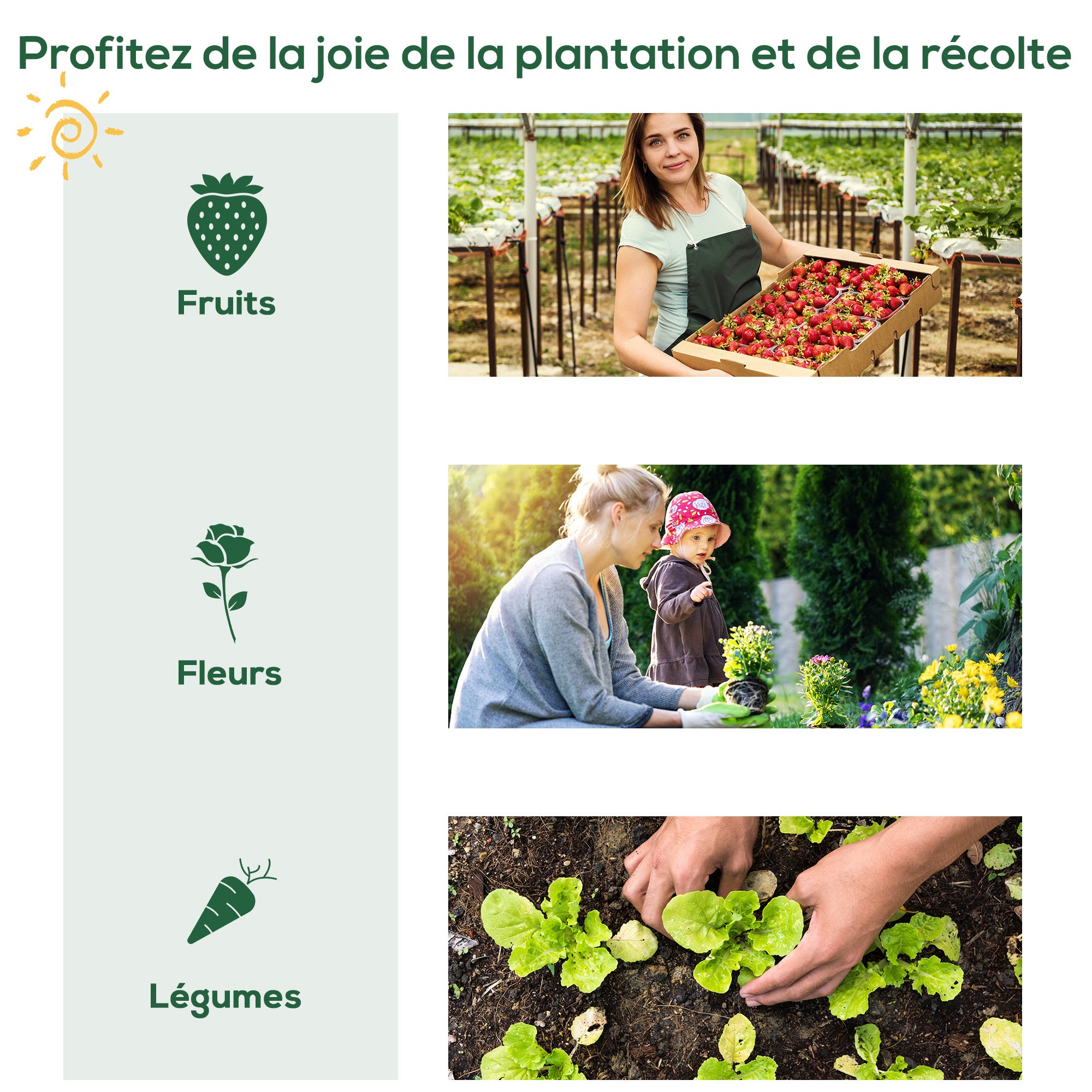 Serre de jardin - serre de balcon - Outsunny - résistante UV - porte enroulable 4 étagères - couverture PE - 80 x 49 x 160 cm vert - 7