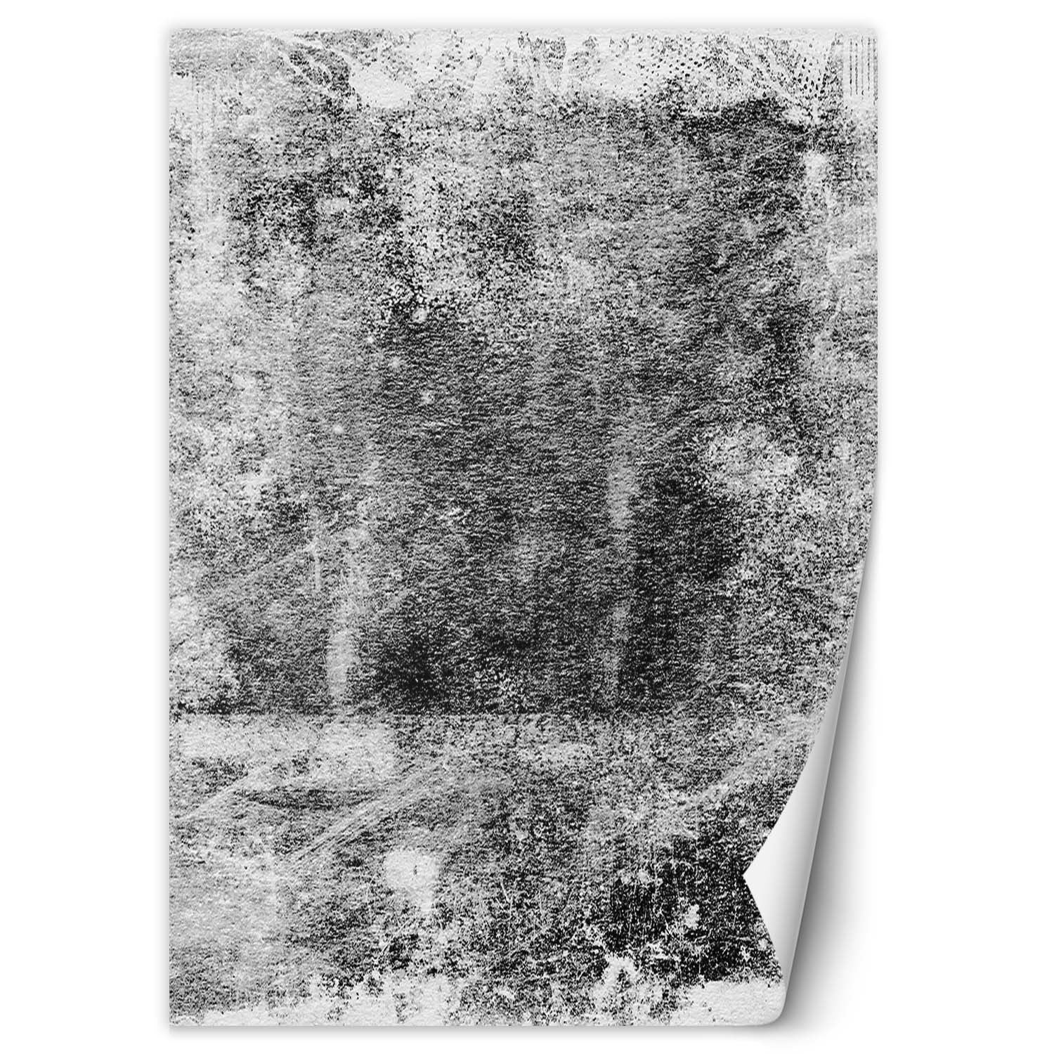 Fototapeta, Szara tekstura beton 100x140