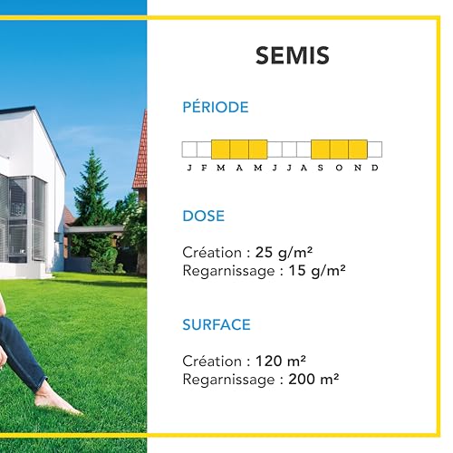 BARENBRUG - Gazon Anglais et Ultra dense - Aspect Prestigieux Parcs Anglais - Tapis Dense Effet velours - Densité Extrême - 3KG - 4