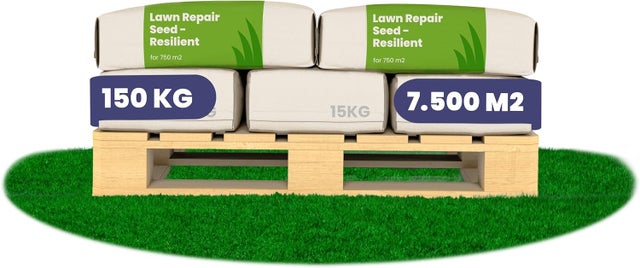 Semence Gazon Regarnissage - Résilient - 10X = 150 Kg Pour 7500 M2 - Organifer